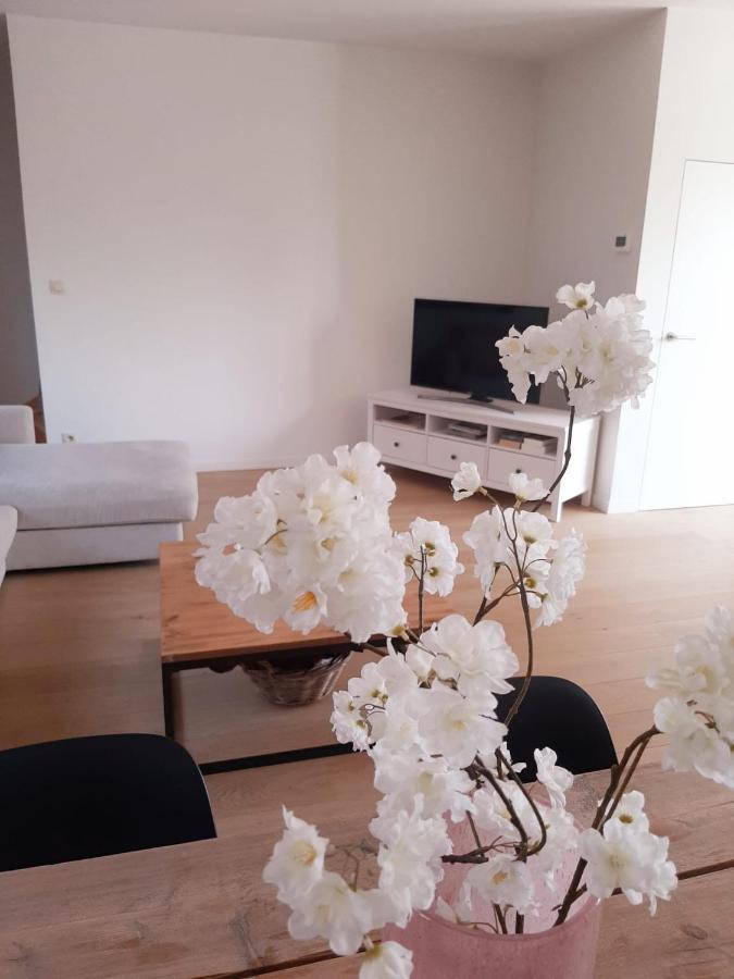 Luxe Duplex Appartement Mavi Gistel Luaran gambar